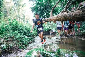 BIB: 
                            <button type="button" onclick="openModal(25453547)" class="btn btn-primary btn-sm float-right btn-popup" data-toggle="modal" data-target=".modal-high-quality">
                        <i class="fas fa-shopping-cart"></i> Add to Cart
                    </button>
                                            <button type="button" onclick="isThisMe(25453547, true)" class="btn btn-success btn-sm float-right btn-popup btn-isme hidden" data-toggle="tooltip" data-placement="bottom" title="นี่คือรูปของคุณใช่ไหม คลิกที่นี่เพื่อเอาเข้าอัลบั้ม">
                        <i class="fas fa-plus"></i> Add to album
                    </button>
                    <button type="button" onclick="isThisMe(25453547, false)" class="btn btn-warning btn-sm float-right btn-popup btn-isnotme hidden">
                        <i class="fas fa-ban"></i> Remove from album
                    </button>